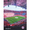 FC Bayern München Polár takaró Allianz Arena FC Bayern München , 130 x 170 cm