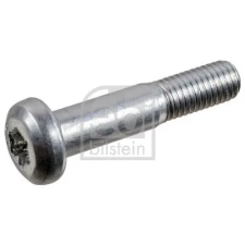 FEBI BILSTEIN Csavar, keresztlengőkar 24391 autóalkatrész