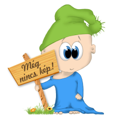  Fehér rövid ujjú gyerek póló - Klasszikus fazon (2 munkanapos kiszállítás)