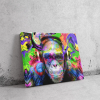  Fejhallgatós Majom - Pop Art Vászonkép