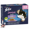  Felix Fantastic Junior Válogatás Aszpikban 12x85g