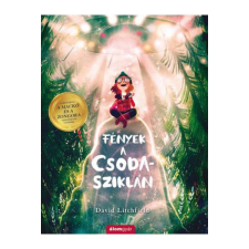 Fények a Csoda-sziklán gyermek- és ifjúsági könyv