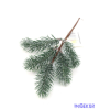  Fenyő ág 3 ágas - Hamvas