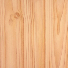  Fenyő öntapadós tapéta 67,5cmx15m tapéta, díszléc és más dekoráció