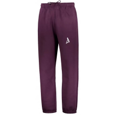 Férfi zeneszámok ALTISPORT BYB/ALM002BY286 BURGUNDIA méret: S férfi edzőruha