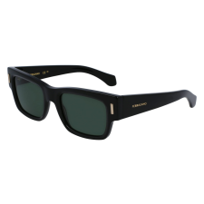 FERRAGAMO FERRAGAMO SF2011S-001 Férfi napszemüveg napszemüveg