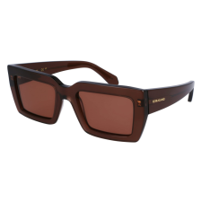 FERRAGAMO SF1108S542123 Női napszemüveg napszemüveg