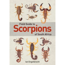  Field Guide to Scorpions of South Africa idegen nyelvű könyv