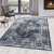 Fiesta 4301 BLACK 160X230
