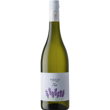 Figula 7ha 2024 (0,75l) bor