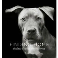  Finding Home – Traer Scott idegen nyelvű könyv