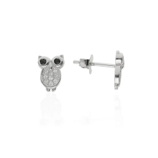 Fine Silver AG118935 - Ezüst beszúrós stekkeres fülbevaló fülbevaló
