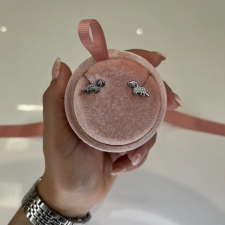 Fine Silver AG119632 - Ezüst beszúrós stekkeres fülbevaló fülbevaló