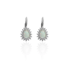 Fine Silver AG120281 -Ezüst beakasztós női fülbevaló fülbevaló