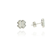 Fine Silver AG121273 - Ezüst beszúrós fülbevaló fülbevaló
