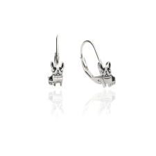 Fine Silver AG121605 -Ezüst hagyományos záras beakasztós női fülbevaló pár fülbevaló