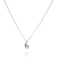 Fine Silver AG124273 - Ezüst nyaklánc medállal Hossz: 42 - 45 cm nyaklánc