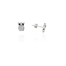 Fine Silver AG124537 - Ezüst beszúrós fülbevaló fülbevaló