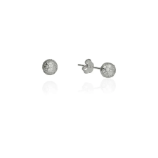 Fine Silver AG124550 - Ezüst beszúrós fülbevaló fülbevaló