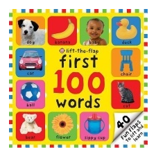  FIRST 100 WORDS LIFTTHEFLAP – Natalie Boyd idegen nyelvű könyv