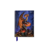 Flame Tree Publishing Anne Stokes 2027 Luxury Pocket Diary Planner - Week to View | ENGMT