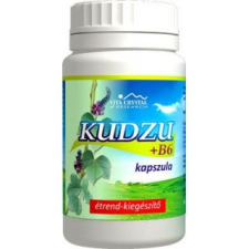 Flavin7 Kudzu+B6 kapszula 250db vitamin és táplálékkiegészítő