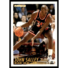 Fleer 1994-95 Fleer #119 John Salley gyűjthető kártya