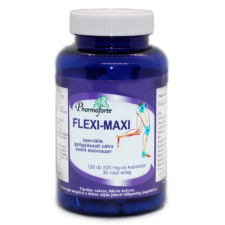 Flexi-Maximus Flexi-maxi speciális gyógyászati célra szánt élelmiszer kapszula 120 db gyógyhatású készítmény
