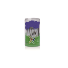 FLEXOFFICE FO-049 kupakos golyóstoll - 0.3mm / Kék (50 db) (FO-049) toll