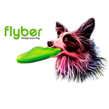  Flyber frizbi kutyáknak (22 cm) játék kutyáknak