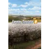 Focus Home Interactive Farming Simulator 19 (Platinum Edition) (digitális licenc)
