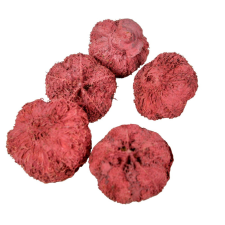  Fokhagyma termés falfestékes bordó 11dkg/csom dekorációs kellék