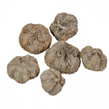  Fokhagyma termés szürke 11dkg/csomag dekorációs kellék