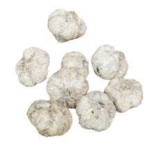  Fokhagyma termés zúzmarás 16dkg/csom dekorációs kellék