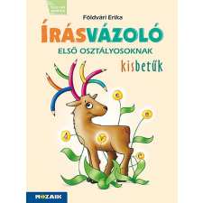 Földvári Erika - Írásvázoló 1. osztályosoknak ‒ Kisbetűk (MS-1651V) tankönyv