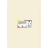 Folia Dekorkarton, 2 oldalas, 50x70 cm, 300 g, 10 lap, FOLIA, bézs (FL6108)