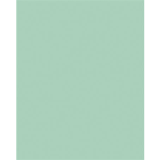 Folia Színes papír, A3, 130 g, 50 lap, FOLIA, menta (FL6325) kreatív papír