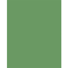 Folia Színes papír, A3, 130 g, 50 lap, FOLIA, mohazöld (FL6353) kreatív papír