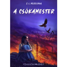 Főnix Könyvműhely A Csókamester - J. S. Meresmaa gyermek- és ifjúsági könyv