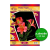 Fortuna Fotópapír FORTUNA A4 inkjet fényes 180 gr 100 ív/csomag