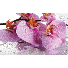 Fotótapéta Orchidea cseppek tapéta, díszléc és más dekoráció