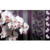 Fotótapéta Orchidea elegáns 2 3D XL