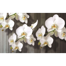 Fotótapéta Orchidea fehér 2 XL tapéta, díszléc és más dekoráció