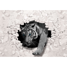 Fotótapéta Tigris - a tégla fal 3D tapéta, díszléc és más dekoráció