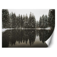  Fotótapéta, Tó az erdőben télen - 254x184 cm tapéta, díszléc és más dekoráció