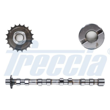 FRECCIA vezérműtengely FRECCIA CM05-2176 autóalkatrész