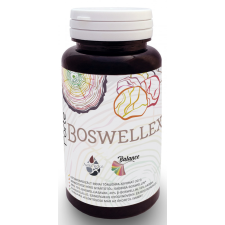 Freyagena Balance FORTE BOSWELLEX 60 kapszula vitamin és táplálékkiegészítő