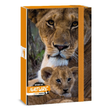  Füzetbox ARS UNA A/4 Máté Bence-lion füzetbox