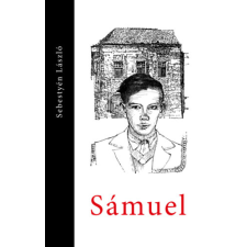 Gabriel Méry-RATIO Sámuel regény