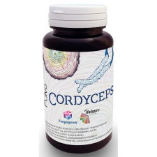 Gal Freyagena Balance Fulvo-Cordyceps 60 db vitamin és táplálékkiegészítő